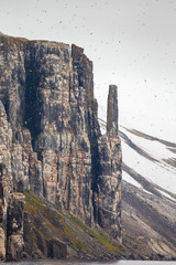 Bird rock at Alkefjellet Spitsbergen with the Br&uuml;nnich's guillemot (Uria lomvia)