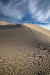 Eureka Dunes