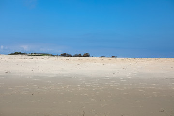 South Ocean Beach at Assateague Island