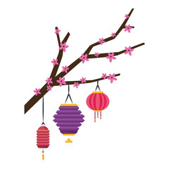 blossom tree branch with chinese lanterns icon, colorful design