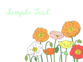 手書きのお花のテンプレート（ポピー／フルカラー）