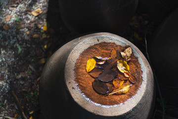 Various dead tree leaves in fall colors floating on Korean traditional water pot.
