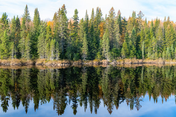 A lake in the forest in Canada, during the Indian summer, beautiful colors of the trees