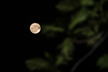 View at The Moon