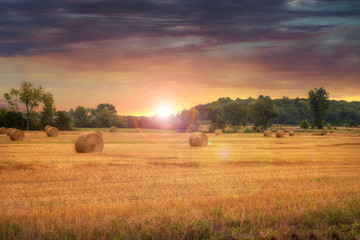 Field of freshly bales of hay with beautiful sunset in background. Beautiful countryside landscape. - obrazy, fototapety, plakaty