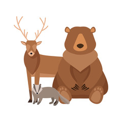 Cartoon wild bear and raccoon, design