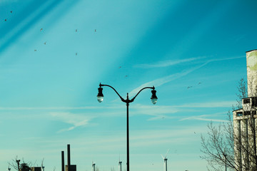 street lamp in winter