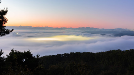 가을안개 와 구절초