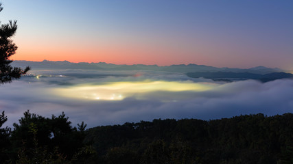 Obraz premium 가을안개 와 구절초