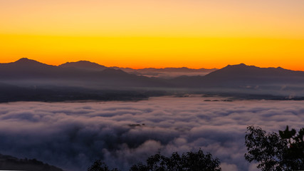 가을안개 와 구절초