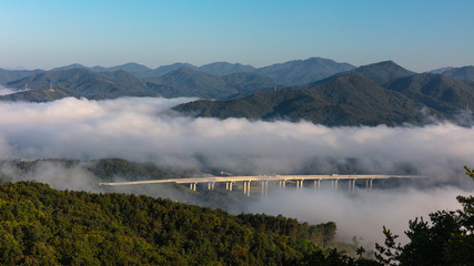가을안개 와 구절초