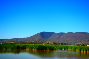 Lago vegetaci&oacute;n