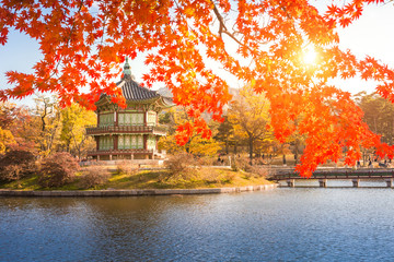 Gyeongbokgung palace with Maple leaves and pavilion old traditional, Seoul, South Korea.