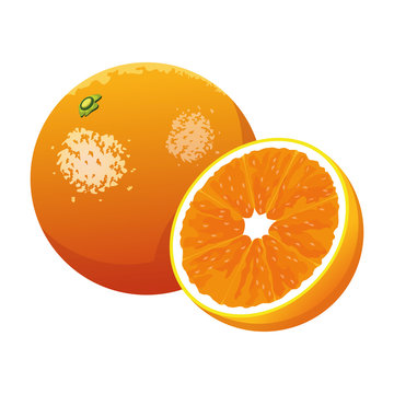 orange fruit icon image design