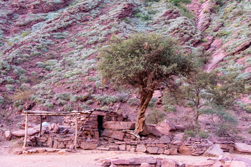 Paisajes con un árbol de primer plano