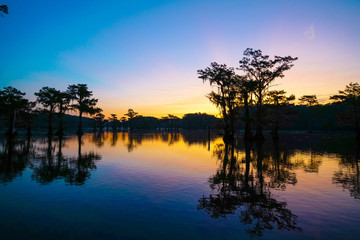 Colorful view during dawn at Caddo Lake near Uncertain, TX - obrazy, fototapety, plakaty