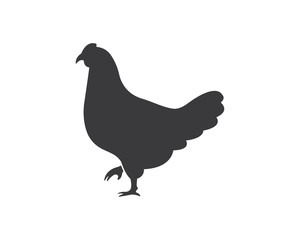 chicken logo icon vector illustration