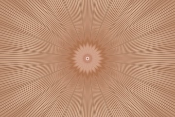brown flower pattern floral kaleidoscope. abstract mandala.