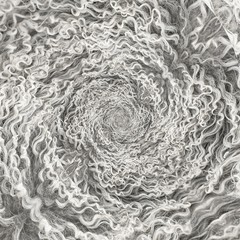 wool sheep abstract geometric pattern. mandala.