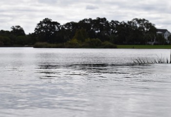 landscape with river