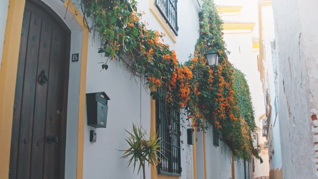 4K Marbella white street with greenery and floral walls, Andalusia, Spain - Slow Motion