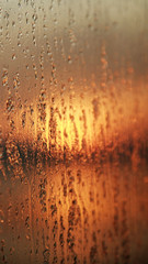 Macro of water particles