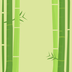 Fototapeta na wymiar bamboo tree background