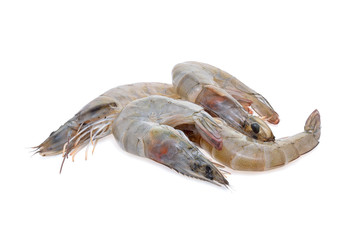 Raw shrimp isolated on white background