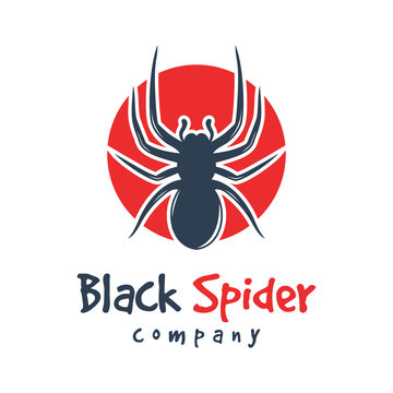 spider and circle animal logo design