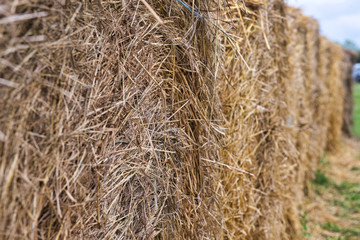 Fototapeta na wymiar Close-up of rolls of hay on a farm