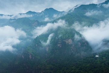 Misty Mountains near Shimla,Himachal Pradesh,India