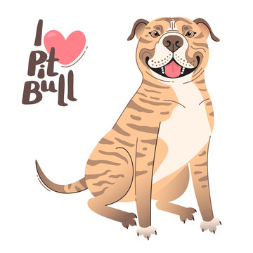 Fawn brindle brown American Staffordshire Pit Bull Terrier. I love pitbull. Vector illustration