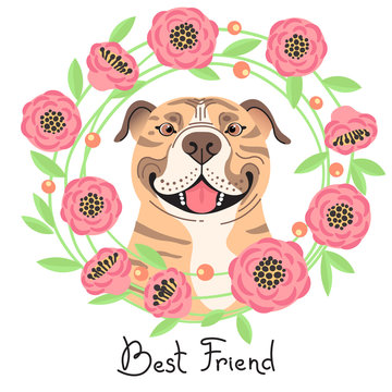 Happy American Staffordshire Pit Bull Terrier. Best friend - Pit Bull dog and wreath of flowers in the style of cartoon. Vector illustration