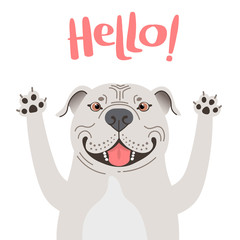Greeting card with cute Pitbul dog. Sweet American Staffordshire Pit Bull Terrier says hello. Vector illustration