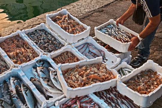 fish and crustaceans on the quay of the Adriatic sea fishing port