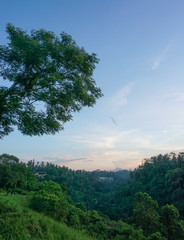 Obraz premium Morning Walk At Tjampuhan Ubud Bali