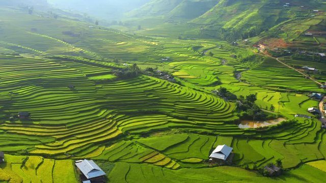 Aerial top view of paddy rice terraces, green agricultural fields in countryside or rural area of Mu Cang Chai, Yen Bai, mountain hills valley at sunset in Asia, Vietnam. Nature landscape background.