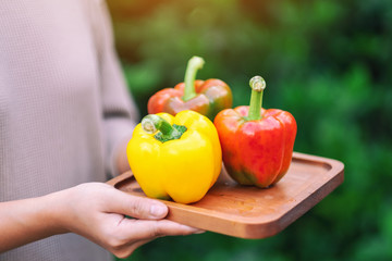 A woman holding a fresh bell peppers in a wooden tray