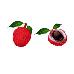 Litchi Fruit Whole and Half with Seed - Vector Image