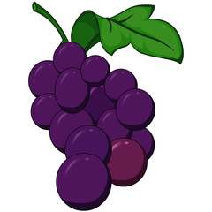 Purple Grapes - Cartoon Vector Image