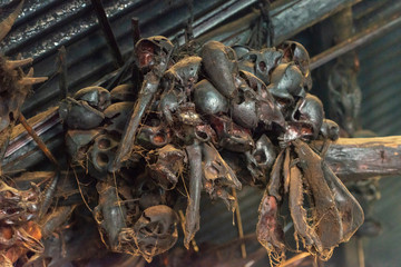 Animals head Trophies in the village houses at Khonoma,Nagaland,India