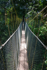Suspension bridge, Taman Negara national park, Malaysia