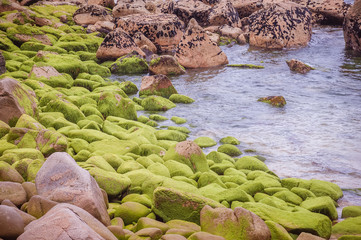 green rock on the beach