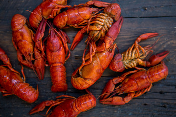 Red boiled crawfishes on table in rustic style, closeup. Lobster closeup.