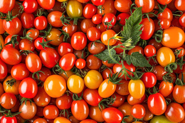 Fresh organic cherry tomatoes as background, closeup
