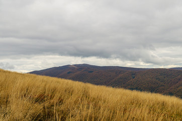 Bieszczady panorama z połoniny Wetlińskiej