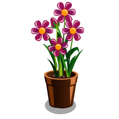 Pot with Plant and Purple Flowers - Cartoon Vector Image