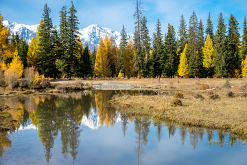 autumn landscape with lake and trees