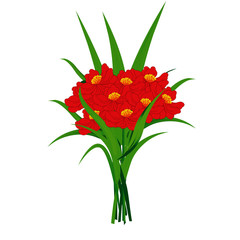 Bouquet of Red Flowers - Vector Image