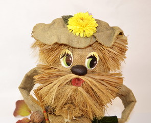 On a white background portrait of a funny brownie in a hat with a yellow flower.